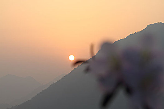 lô kép miền bắc