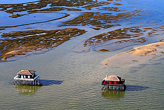 dự đoán xổ số than tai