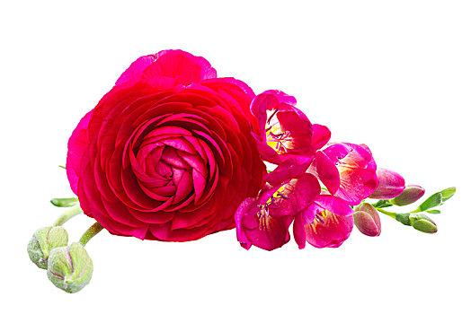 thống kê cầu miền bắc