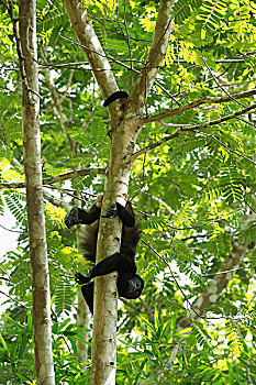 trang đánh số đề uy tín