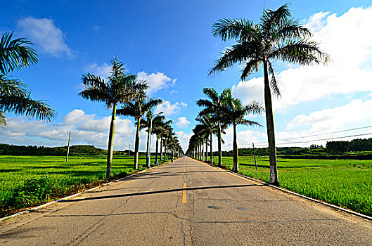 soi cầu lô ngày hôm nay