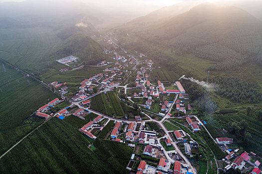 cau lo bach thu mien bac hom nay