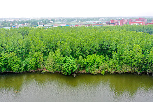 số long an