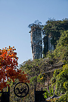 soi cau m trung