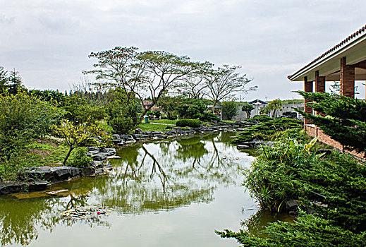 soi cau de mb