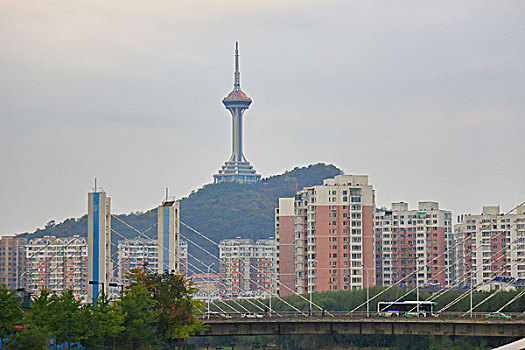 soi cau lo bach kim