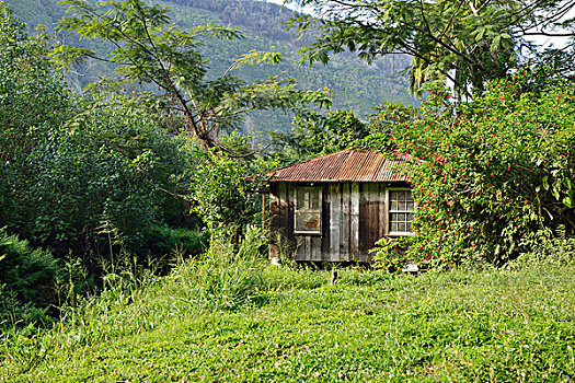 thong ke dac biet