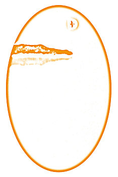 tuyet chieu soi cau