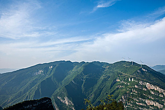 bạch thủ lô mb