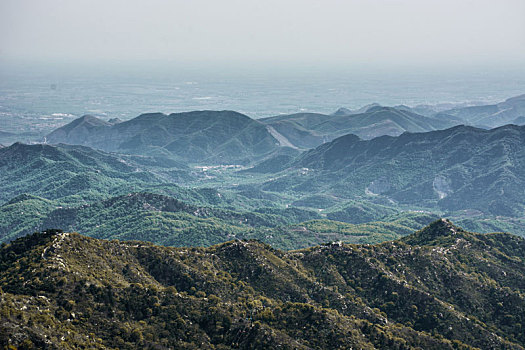chỉ cách đánh đề