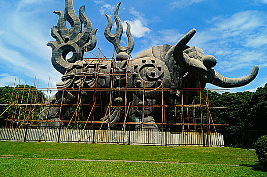 soi cau truc tuyen