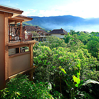 soi cau bach thu ngay hom nay