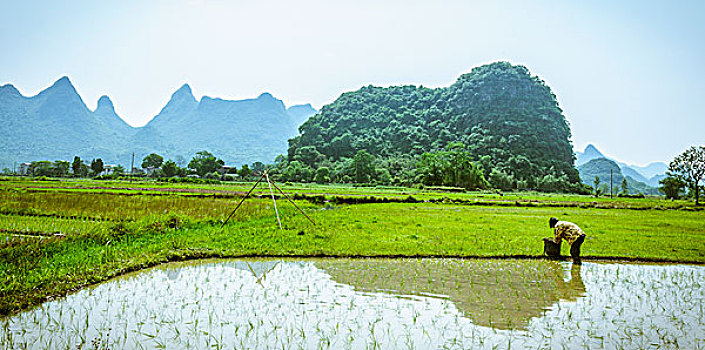 lô bạch thủ hôm nay miễn phí