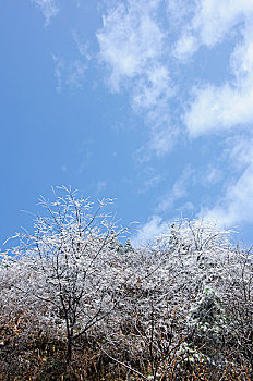 dự đoán