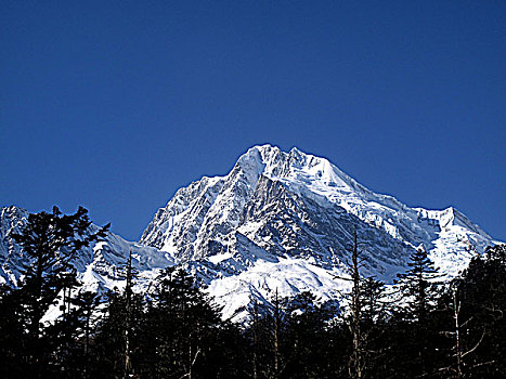du doan trung thuong mn