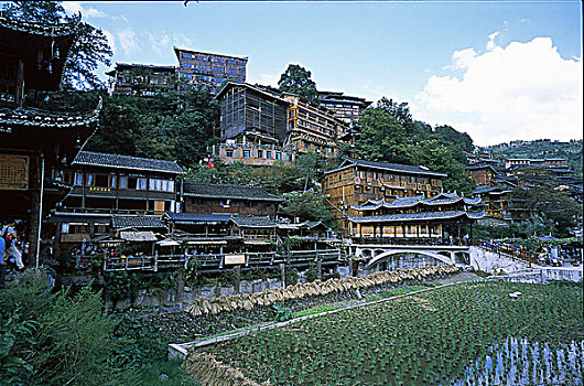 soi câu bach kim