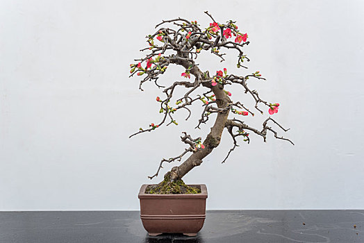 soi cầu xổ số miền bắc 24h
