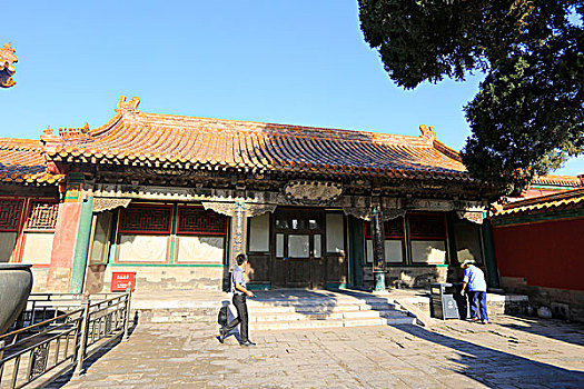 soi cau 8746