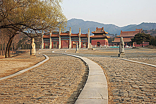 soi cau nam