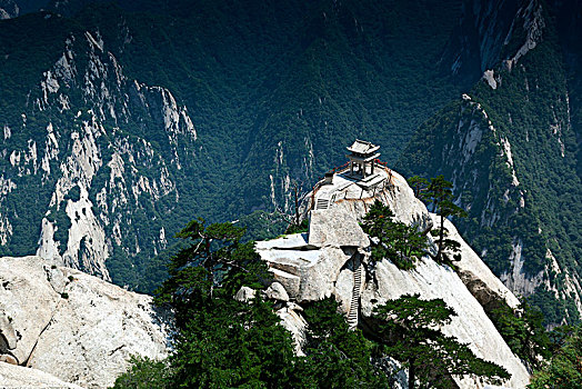 du đoan