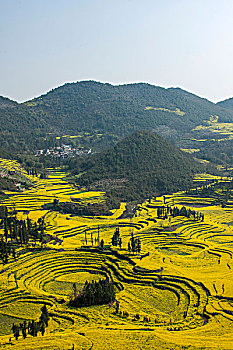 xổ số thứ hai hàng tuần