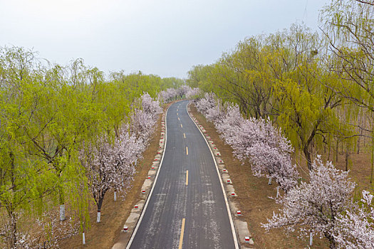 thong ke rong bach kim