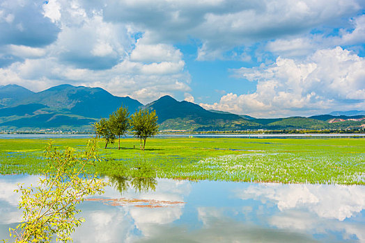 xs binh đinh