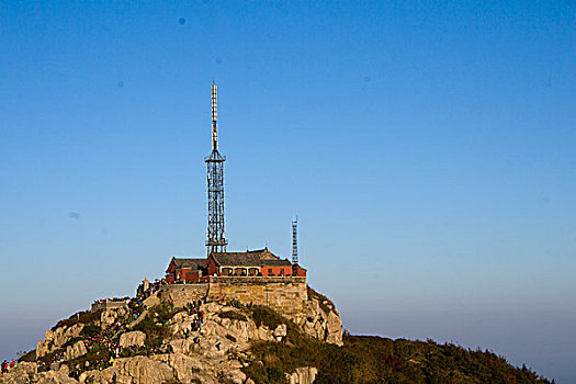 rong bach