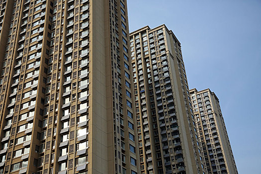 soi cau 8746