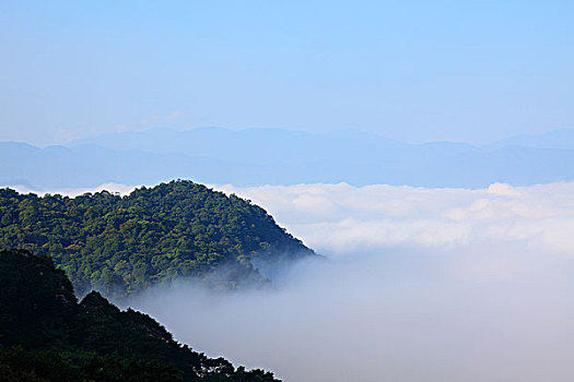 cầu bạch thủ mb