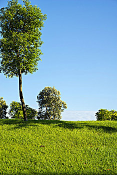 tỷ lệ ăn lô