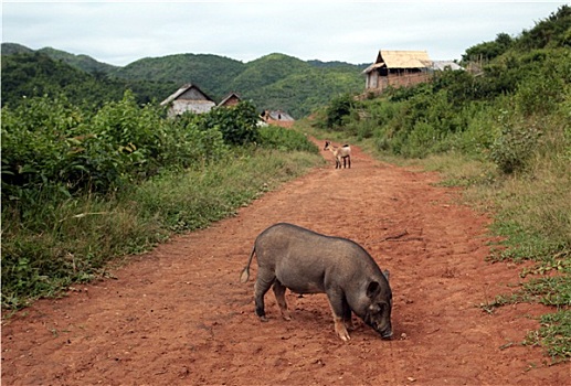 xo so dong thap