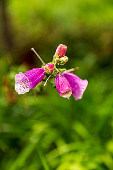 xskt tiền giang