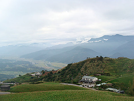 du doan hom nay