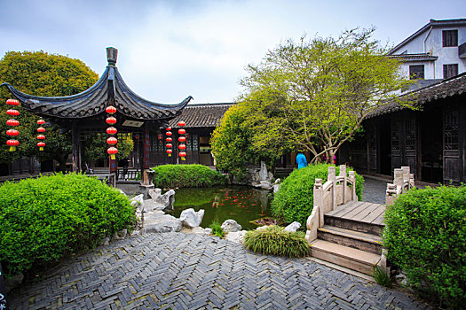 soi cau lo chinh xac