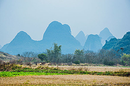 xs vietlott