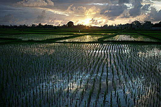 soi cầu đề