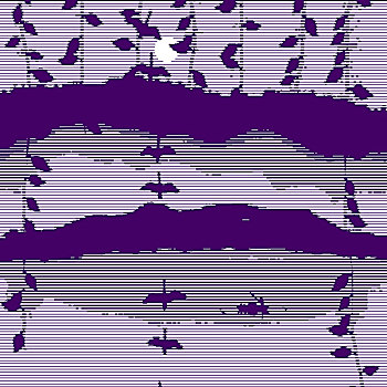 wap du doan