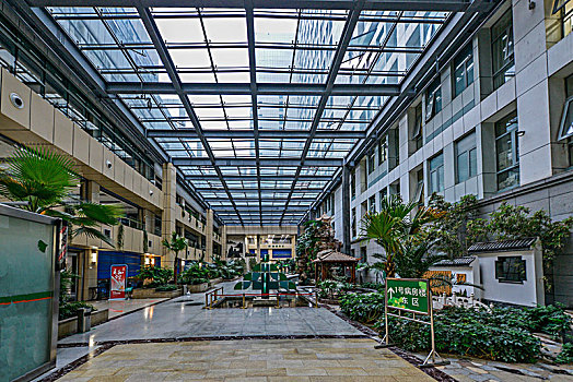 soi cau lo bach thu 888