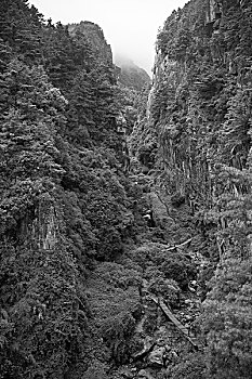 du doan xo so mien bac chinh xac 100