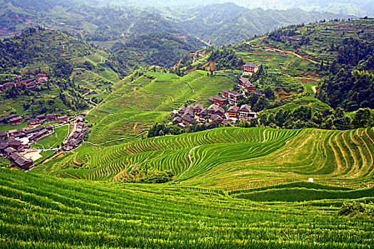 dự đoán đài phát miền nam