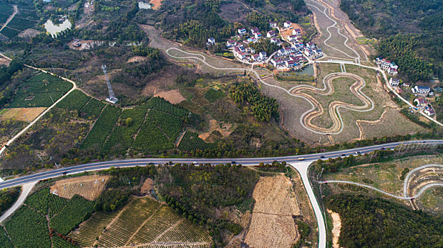 soi câu miễn phí