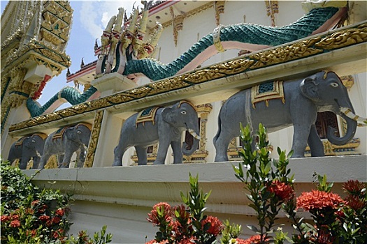 trực tiếp miền bắc