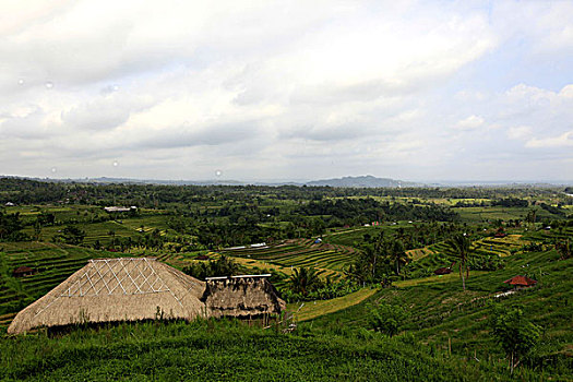 xsmb soi cau thong ke