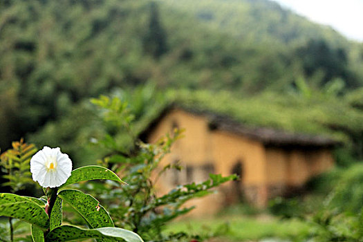 xổ số thứ 4