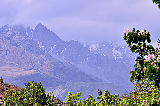 du doan giai dac biet
