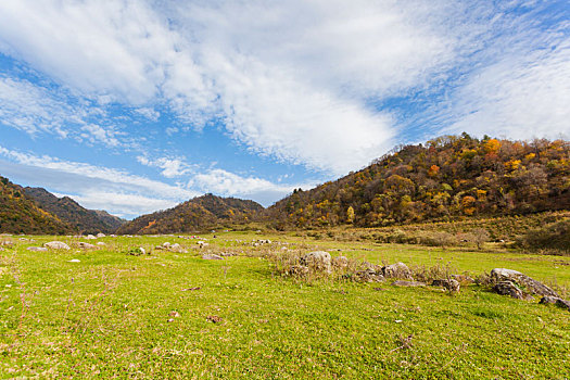 dàn đề