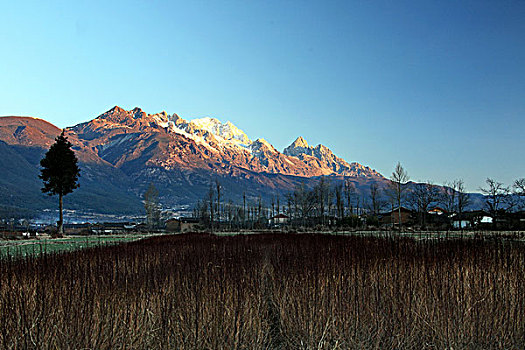cau pascale