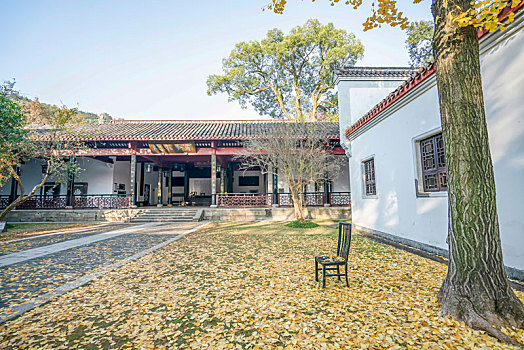 soi cau nha cai