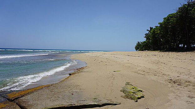 soicau bachthu 247